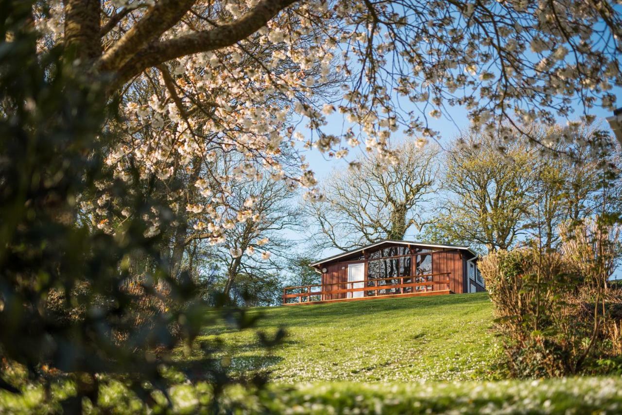 Timber Hill Self Catering Cedar Lodges Broad Haven Exterior photo